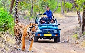 Jim Corbett Tour Package 2 Nights 3 Days