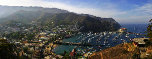 Avalon