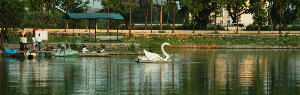 Karnal