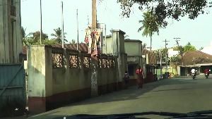 Tanuku