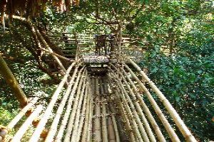 Adventure Tour Package for 2 Days 1 Nights