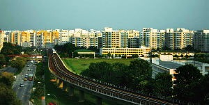 Woodlands