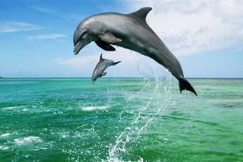 Jagannath Puri Yatra 2N 3D - Standard Package