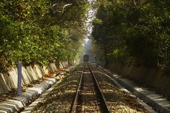 Nanpara