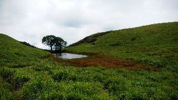 Wayanad