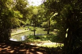 Bentota