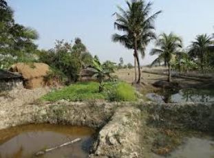 Pleasurable 2 Days 1 Night Sundarban Tour Package