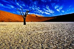 Heart-warming 4 Days 3 Nights Namibia Culture and Heritage Trip Package