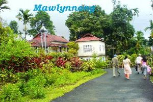 Beautiful 2 Days 1 Night Mawlynnong Vacation Package