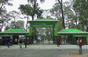 Siliguri Nature Tour Package for 2 Days 1 Night