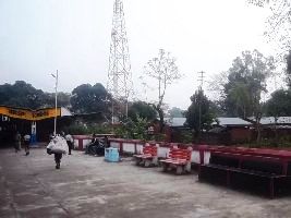 Sorbhog