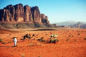 Wadi Rum Village