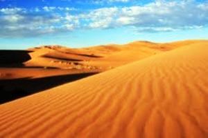 The Western Sahara Desert