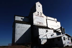 Consul
