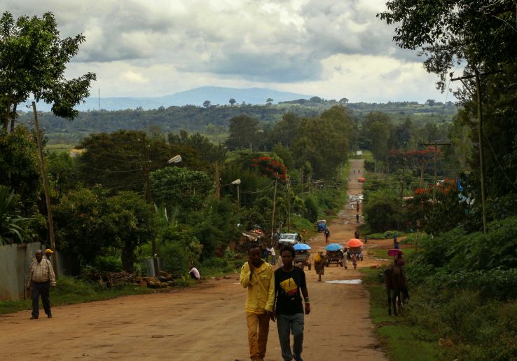Jimma Trip Packages