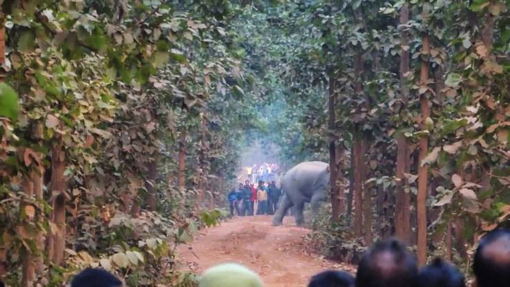 Beliatore Trip Packages