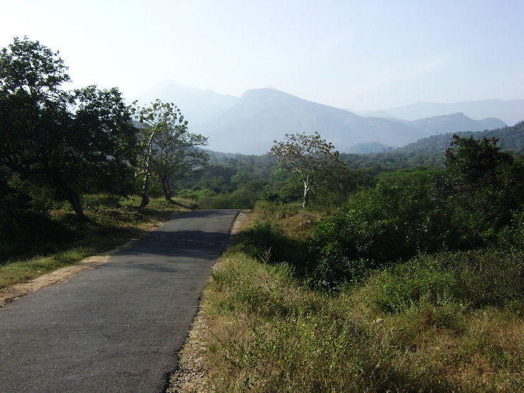 Anaimalai Trip Packages Anaimalai Trip Packages