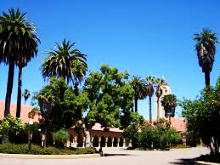 Palo Alto Trip Packages