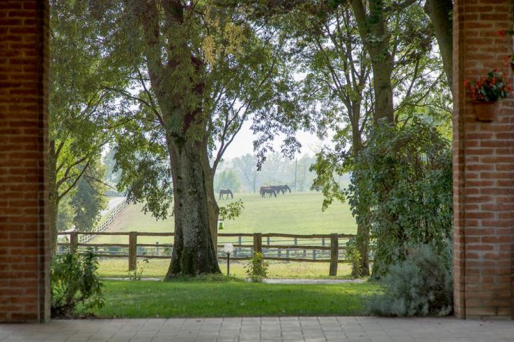 Noceto Trip Packages