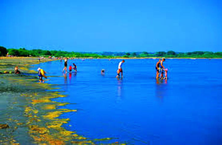 Gull Lake Trip Packages