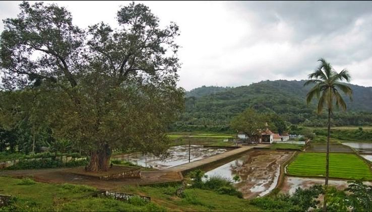 tourist places near shoranur