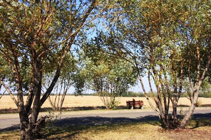 Westlock Trip Packages