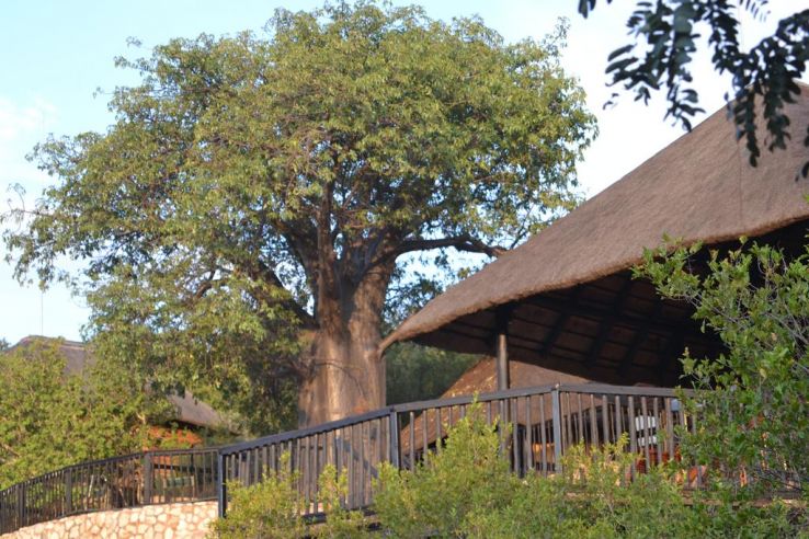 Musina Trip Packages