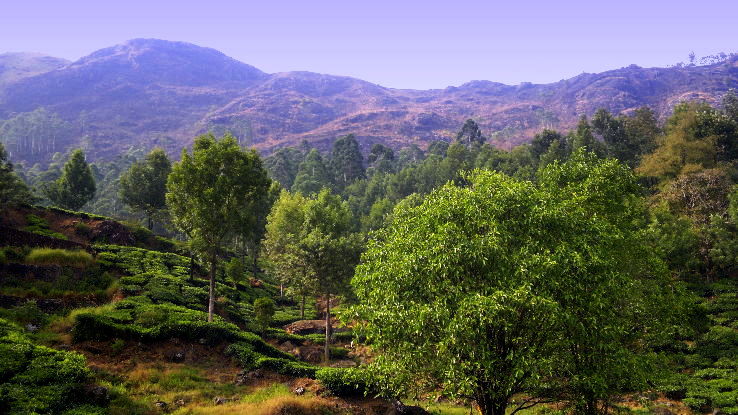 Idukki Trip Packages