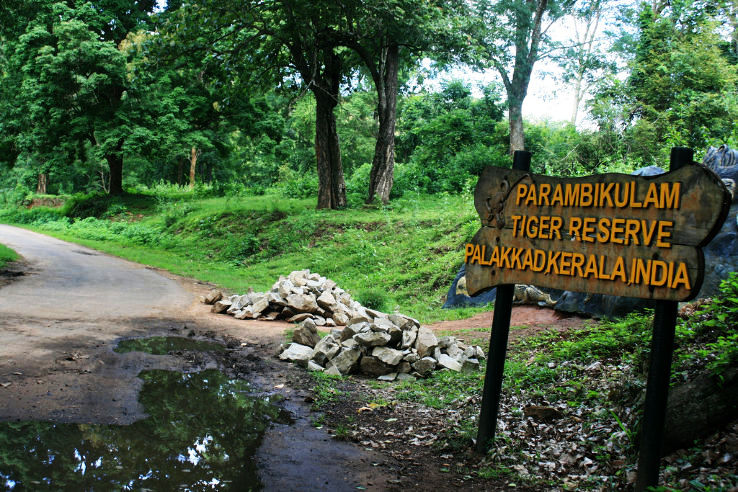 Parambikulam Trip Packages