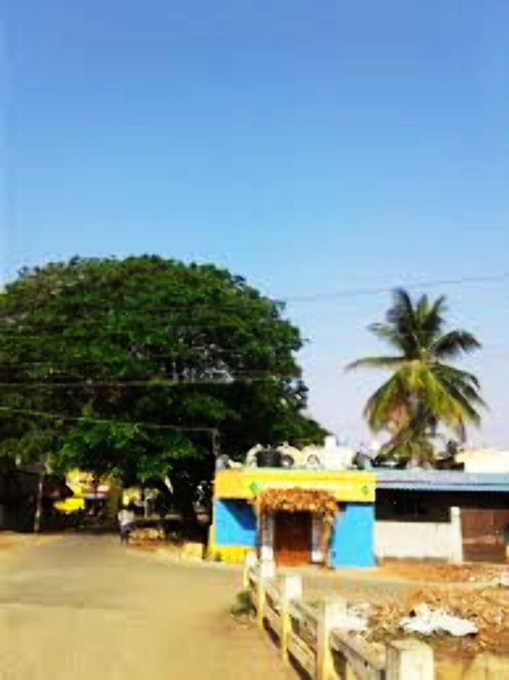 Gundlupet Trip Packages