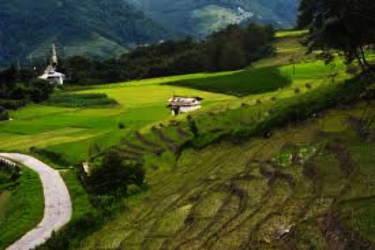 Ziro Trip Packages