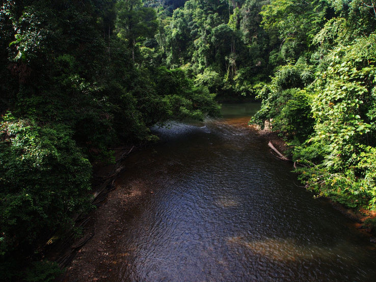 Temburong Trip Packages