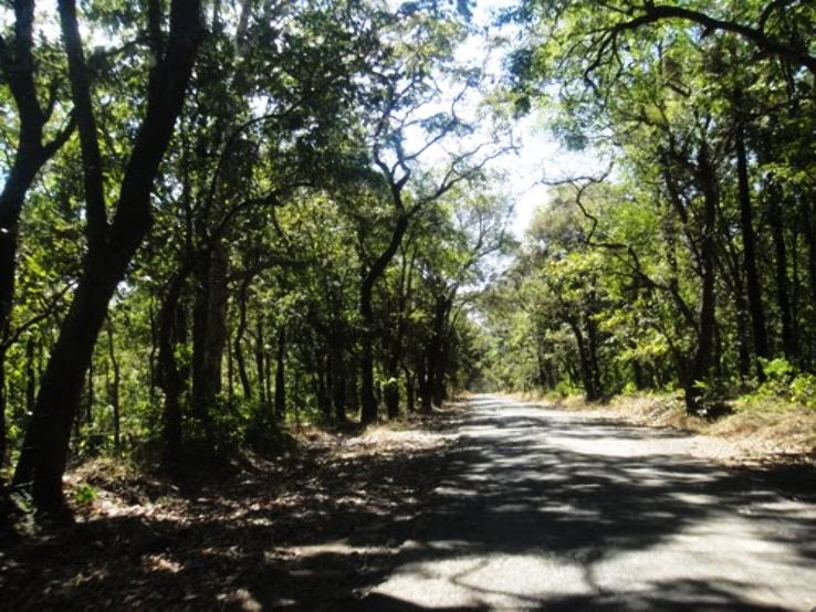 Khanapur Trip Packages