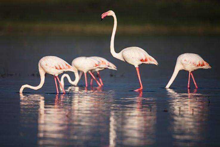 Bhigwan Trip Packages