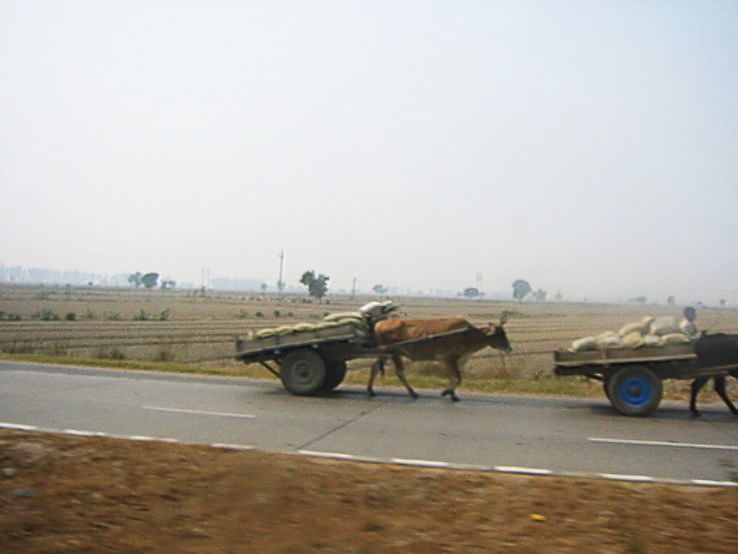 Mursan Trip Packages