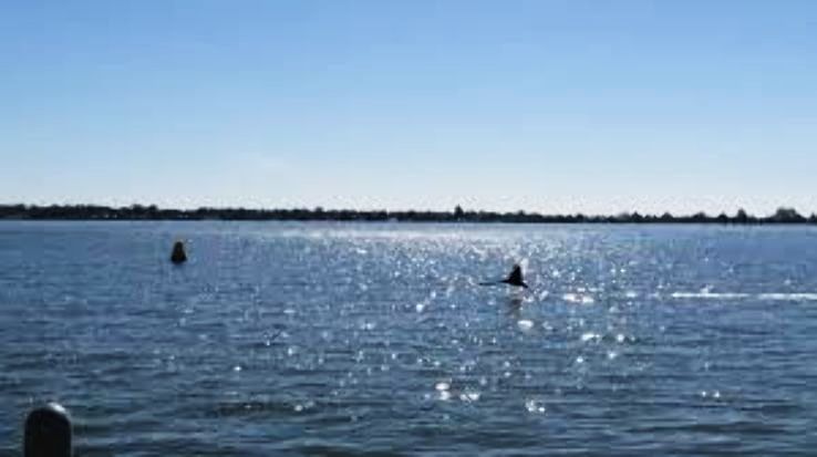 Yarrawonga Trip Packages