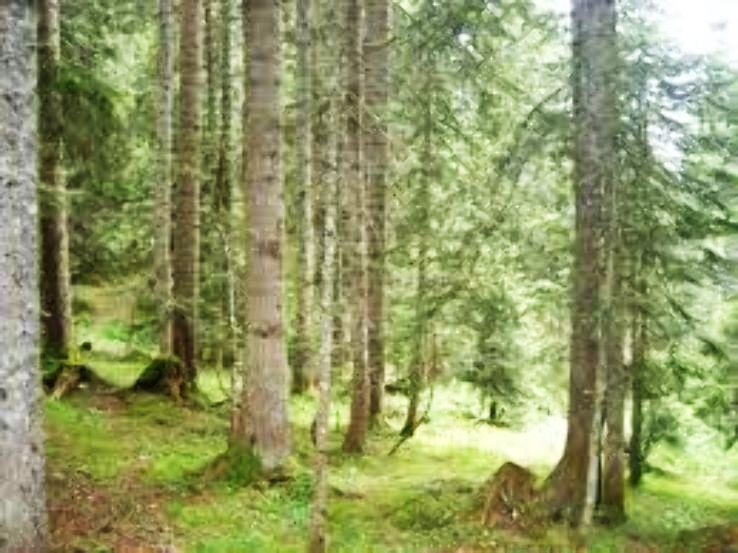 Bingol Trip Packages