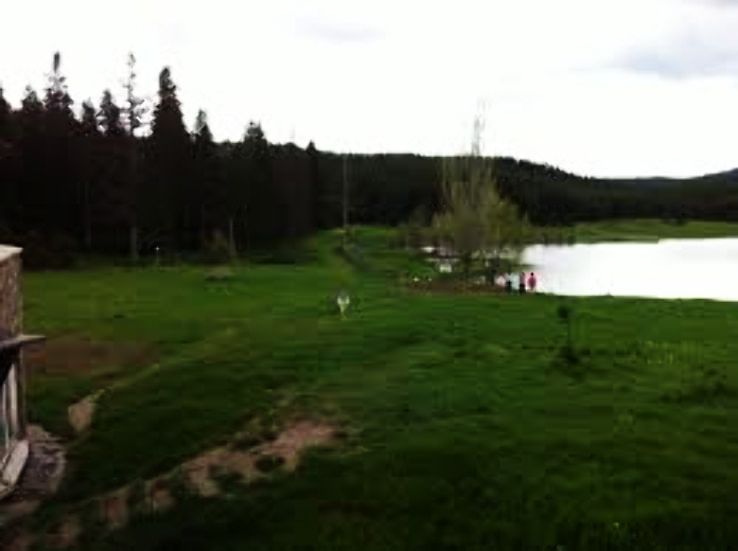 Gerede Trip Packages