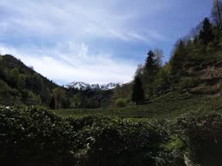 Guneysu Trip Packages