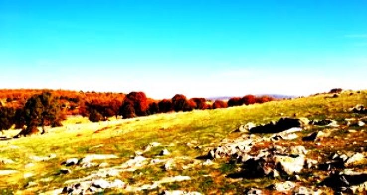 Bozkir Trip Packages