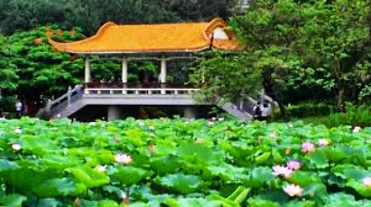 Honghu Trip Packages