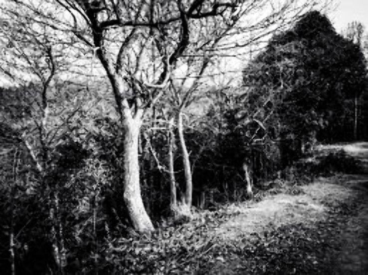 Pingxiang Trip Packages