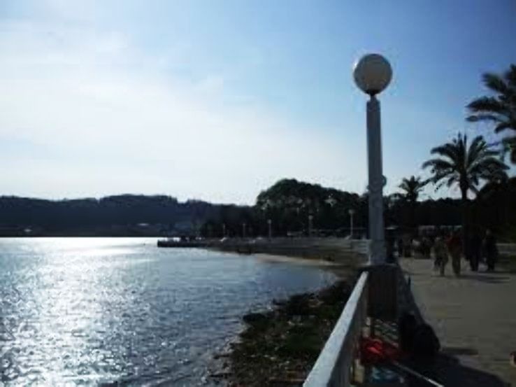 O Grove Trip Packages