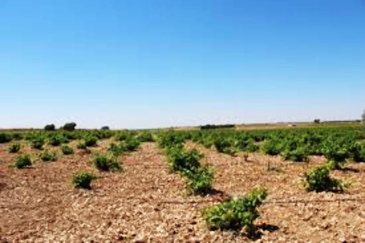 Quintanar de la Orden Trip Packages