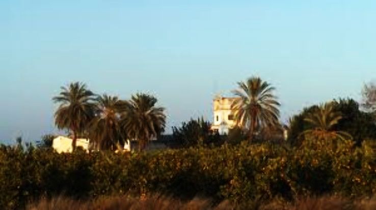 Picassent Trip Packages