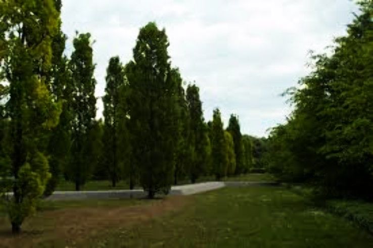 Sagana Trip Packages