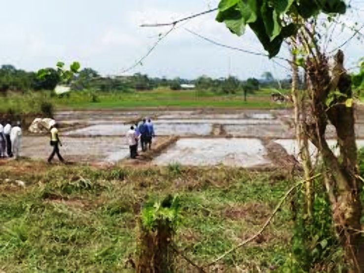 Ashanti Trip Packages