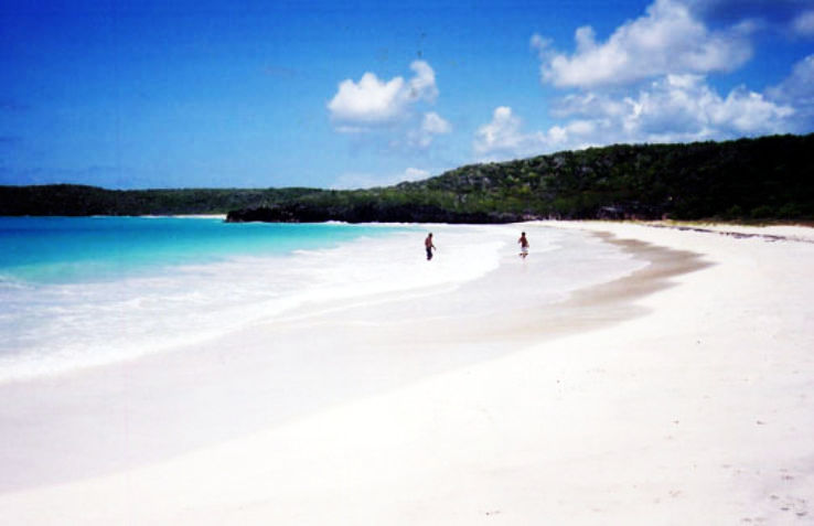 Vieques Trip Packages