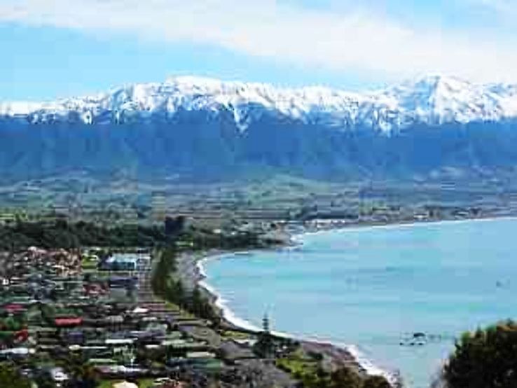 Kaikoura Trip Packages