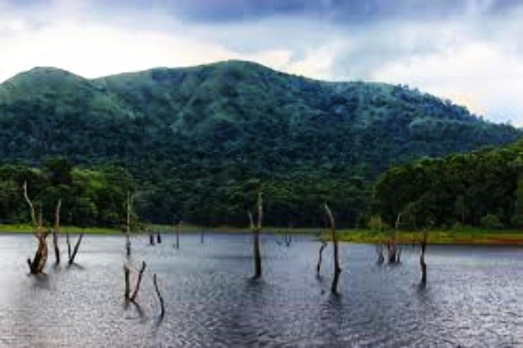 Heart-warming 4 Days Kerala to periyar Tour Package